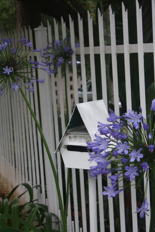 Meander In Bed & Breakfast Howick Exterior foto